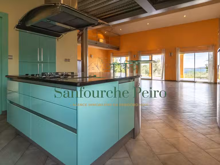 Maison Sarlat-la-Canéda - 3 chambres - 237m²