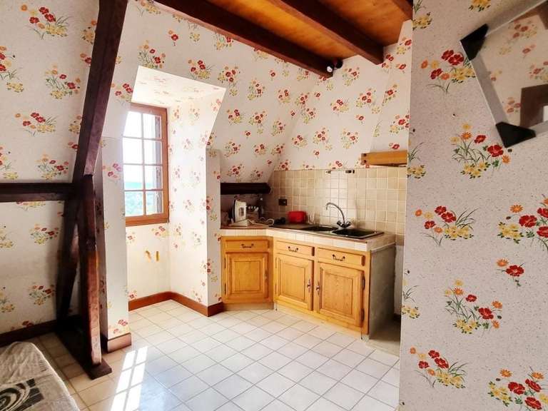 Maison Sarlat-la-Canéda - 5 chambres - 250m²