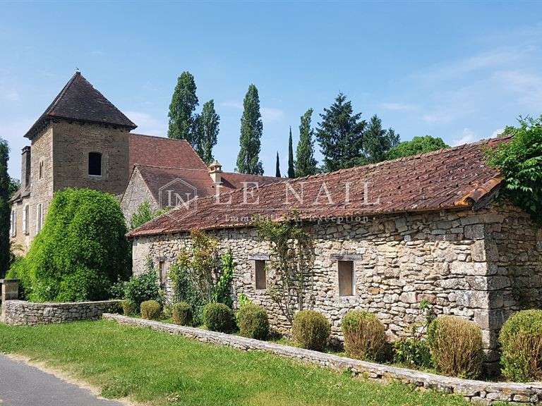Manor Sarlat-la-Canéda - 500m²