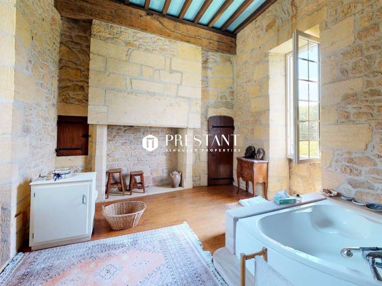 Manoir Sarlat-la-Canéda - 9 chambres - 480m²