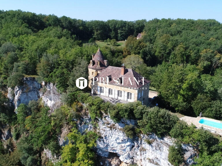 Propriété Sarlat-la-Canéda - 6 chambres - 350m²