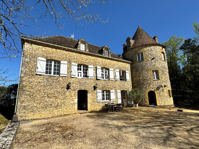 Propriété Sarlat-la-Canéda - 6 chambres - 350m²