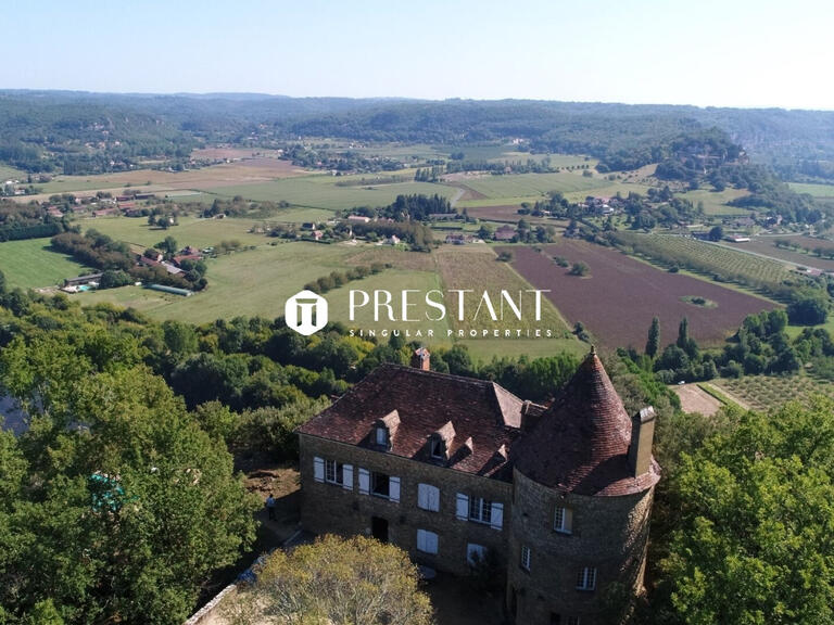Propriété Sarlat-la-Canéda - 6 chambres - 350m²