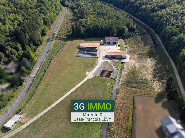 Vente Château Sarrebourg - 2 chambres