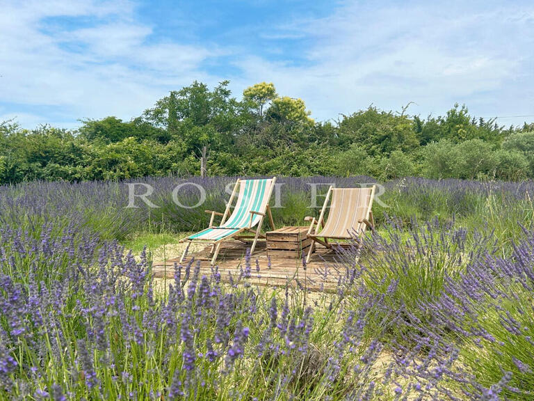 Villa Sarrians - 9 bedrooms - 411m²