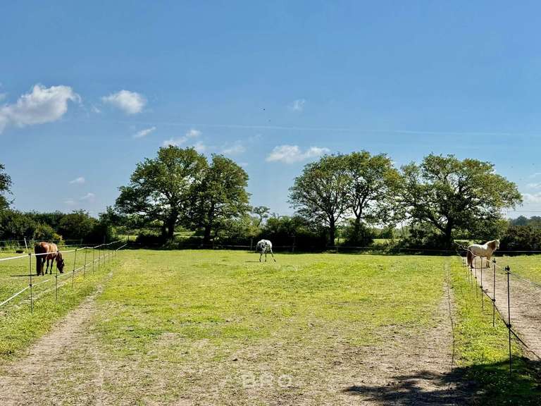 Maison Sarzeau - 7 chambres