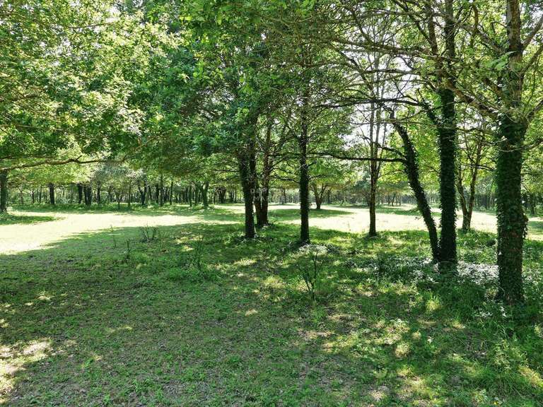 Maison Sarzeau - 7 chambres