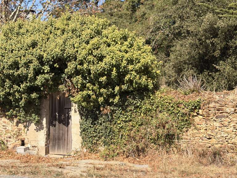 House Sarzeau - 4 bedrooms - 149m²