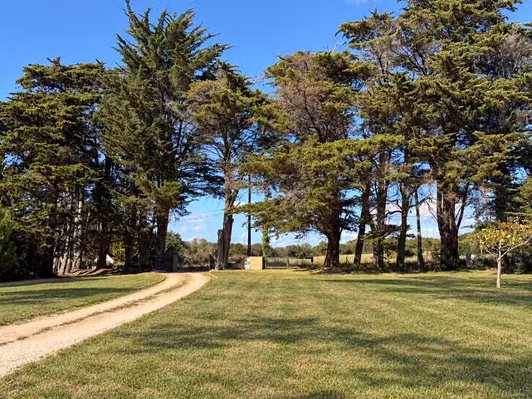 Maison avec Vue sur mer Sarzeau - 6 chambres - 233m²