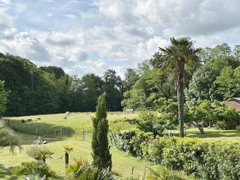 Maison Saubrigues - 7 chambres - 312m²