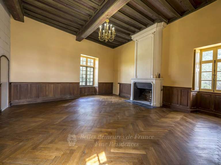 Château Saumur - 11 chambres - 1600m²