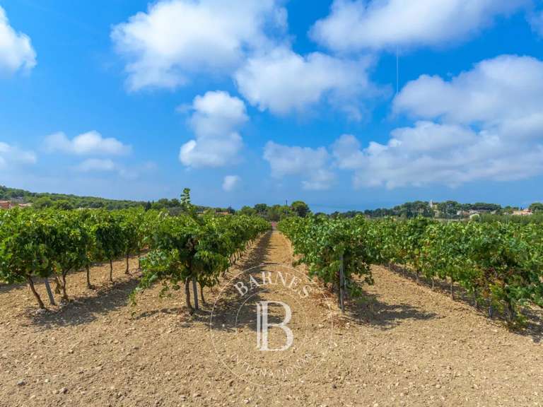 Maison Sausset-les-Pins - 4 chambres - 200m²