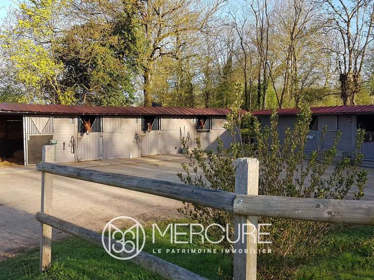 Maison Saussey - 2 chambres - 600m²