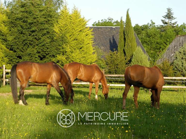 Maison Saussey - 2 chambres - 600m²