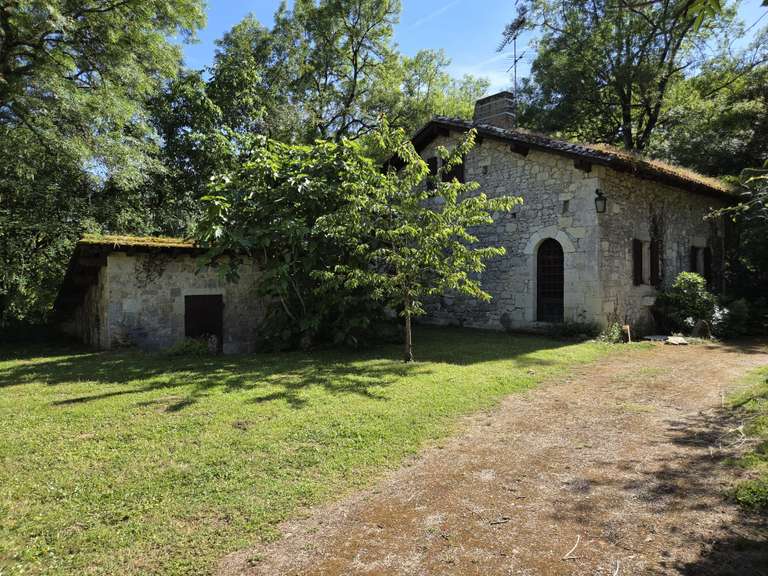 Maison Sauvagnas - 6 chambres - 400m²