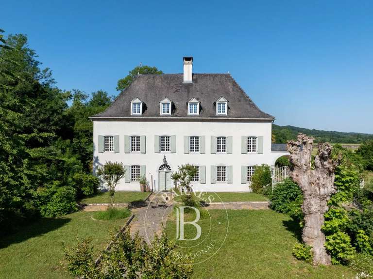 Maison Sauveterre-de-Béarn - 5 chambres - 408m²