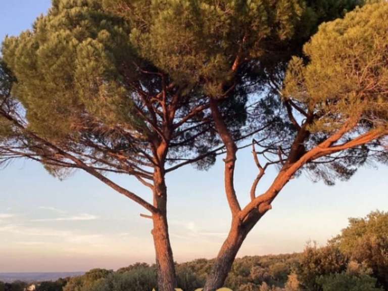 House Sauzet - 4 bedrooms