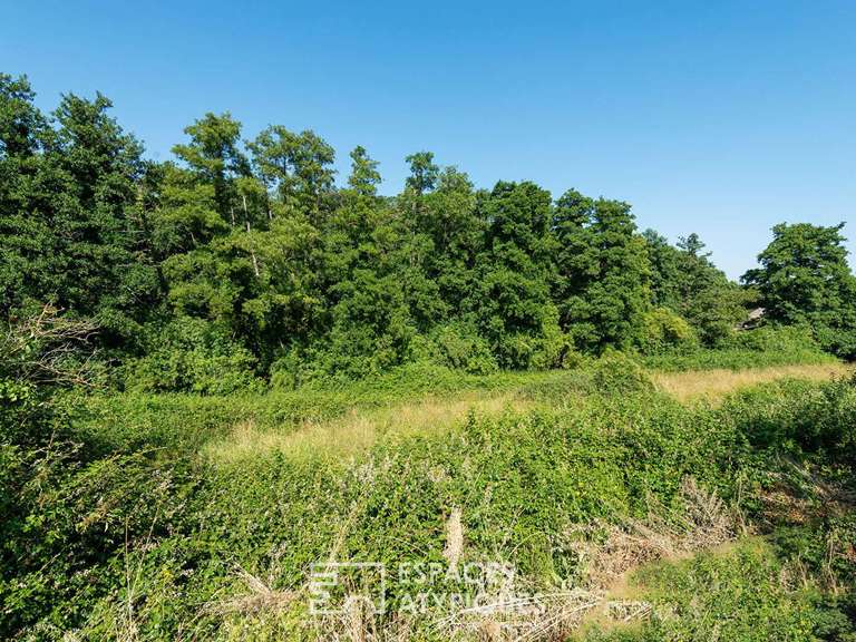 House Savennières - 5 bedrooms