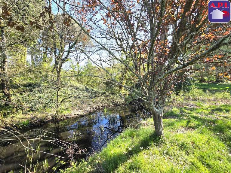 Château Saverdun - 5 chambres - 433m²