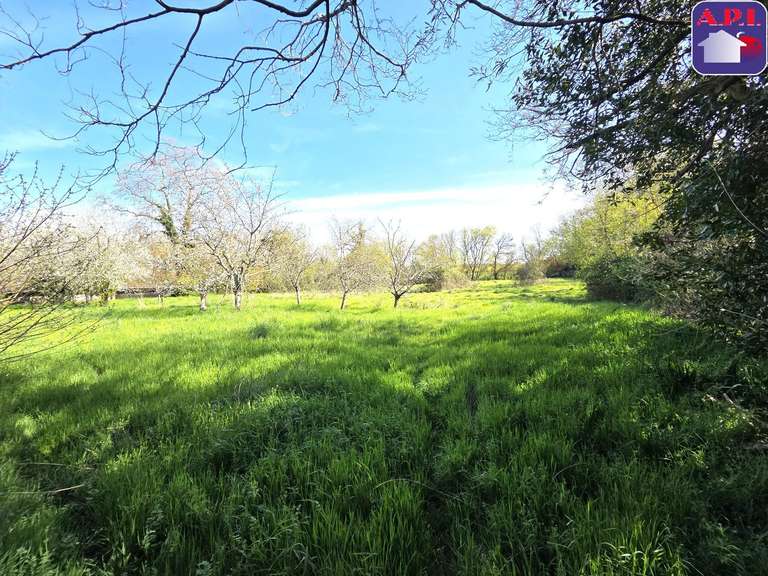 Château Saverdun - 5 chambres - 433m²