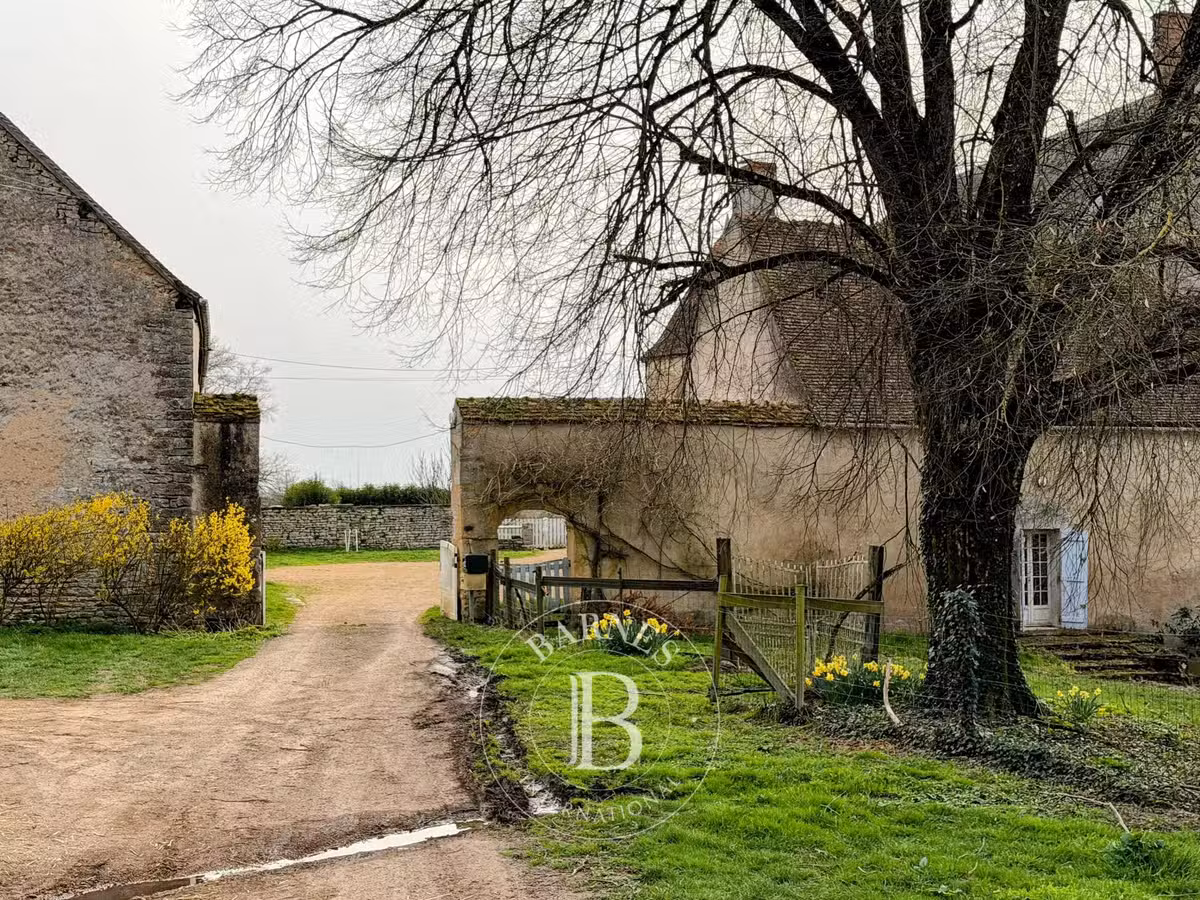 Château Saxi-Bourdon
