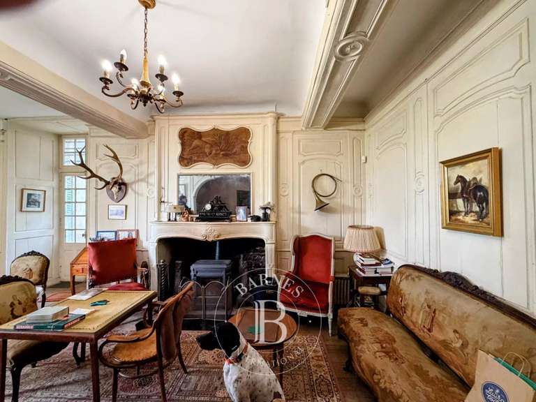 Castle Saxi-Bourdon - 9 bedrooms - 445m²