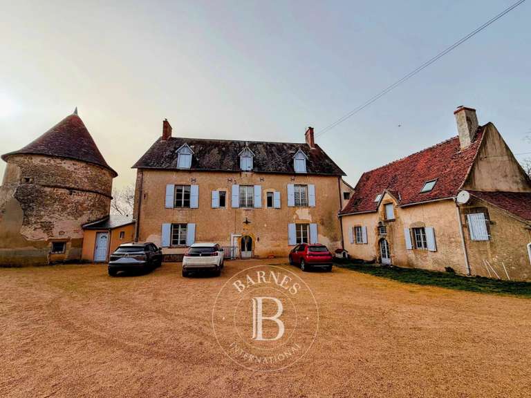 Castle Saxi-Bourdon - 9 bedrooms - 445m²