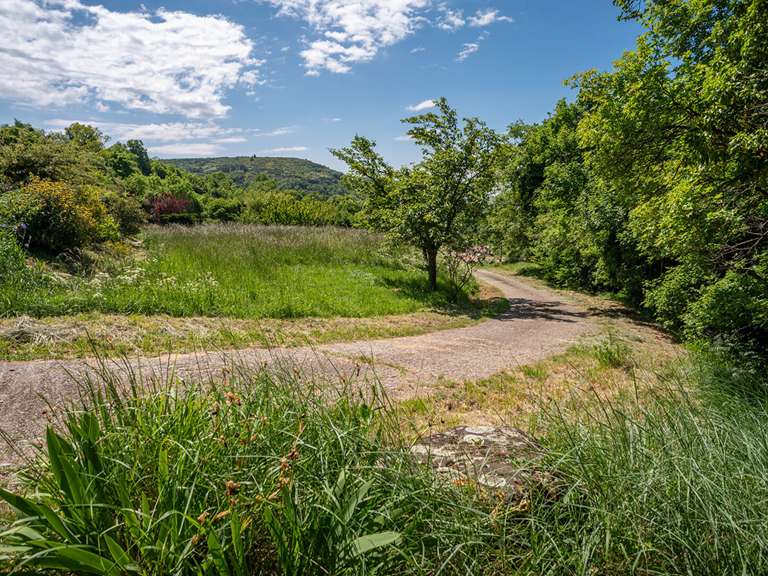 Maison Sceautres - 4 chambres - 169m²