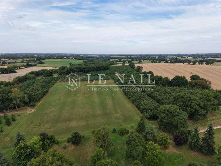 Maison Segre - 5 chambres - 526m²