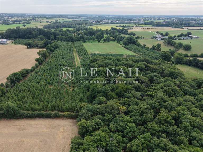 House Segre - 5 bedrooms - 526m²