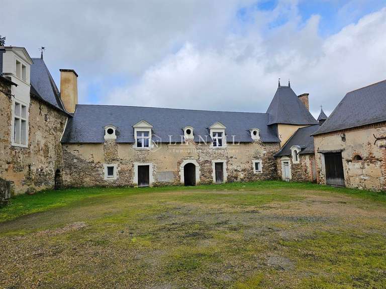 Manoir Segré-en-Anjou-Bleu - 6 chambres - 363m²
