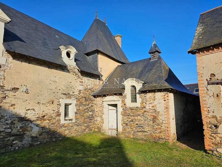 Manoir Segré-en-Anjou-Bleu - 6 chambres - 363m²