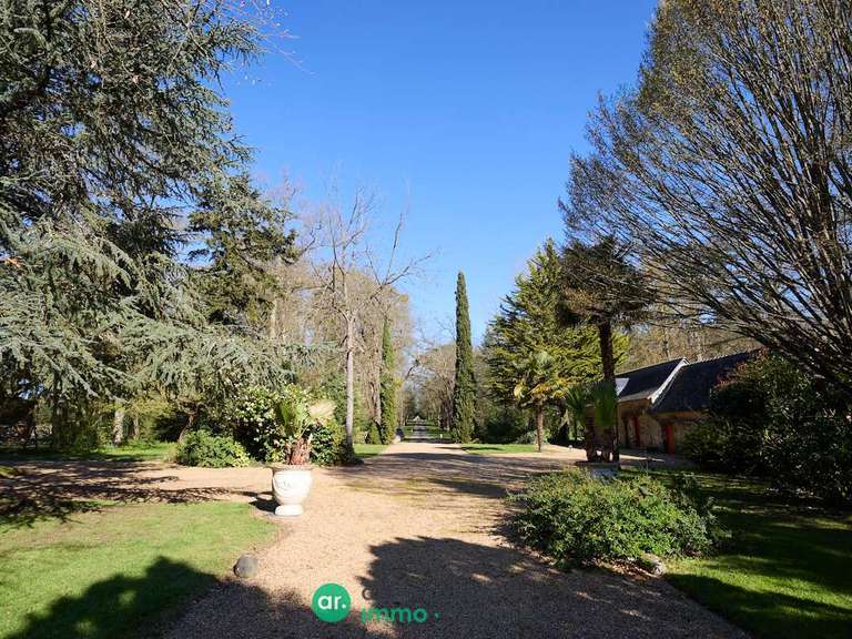 Propriété Segré-en-Anjou-Bleu - 5 chambres