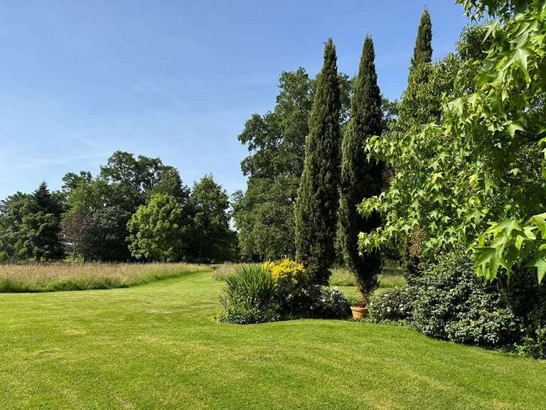 Propriété Segré-en-Anjou-Bleu - 5 chambres