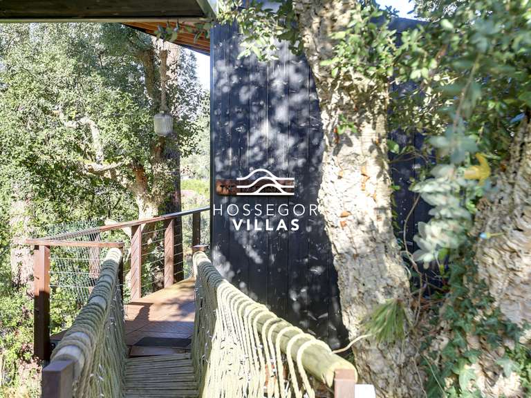 Maison Seignosse - 7 chambres - 365m²