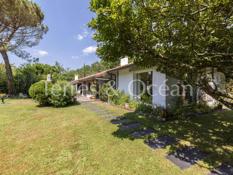 Maison Seignosse - 6 chambres - 227m²