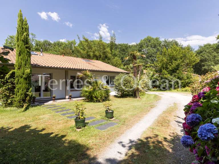 Maison Seignosse - 6 chambres - 227m²
