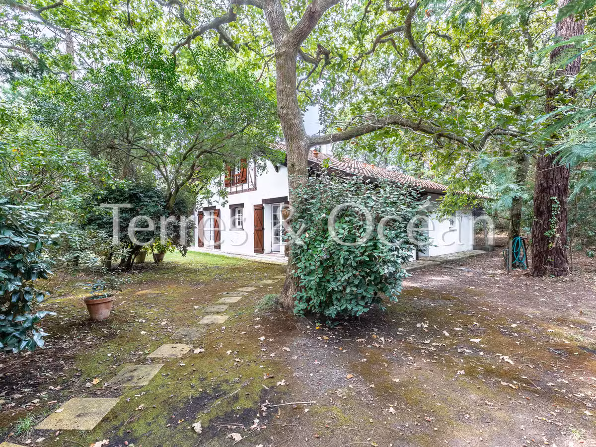 House Seignosse