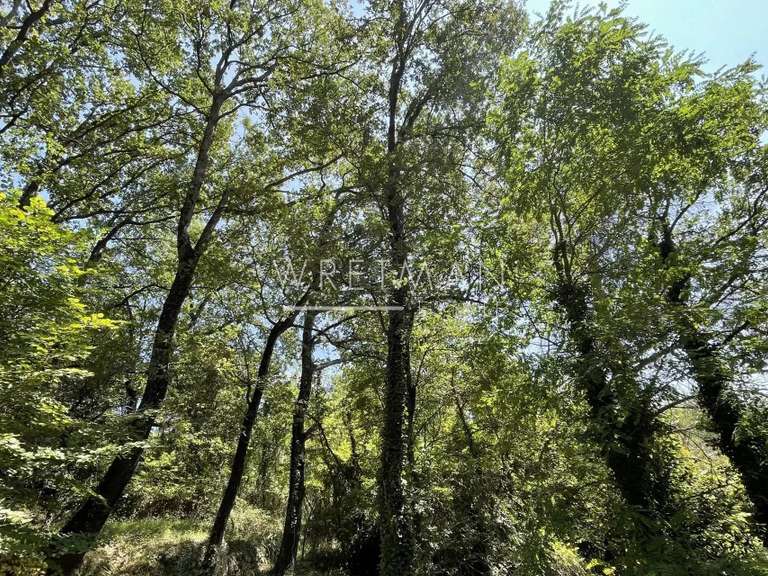 Maison Seillans - 4 chambres - 194m²