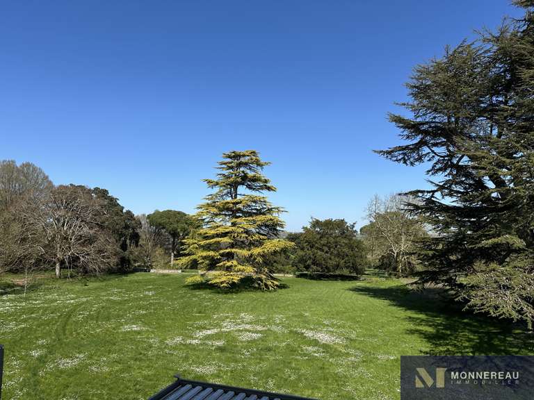 House Semussac - 12 bedrooms - 900m²