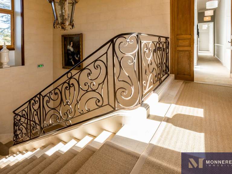 House Semussac - 12 bedrooms - 900m²