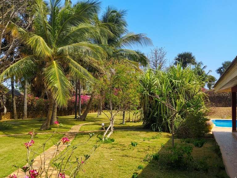 Maison Senegal - 4 chambres - 250m²