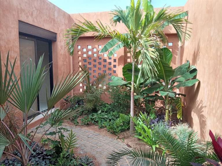 Maison Senegal - 4 chambres - 250m²