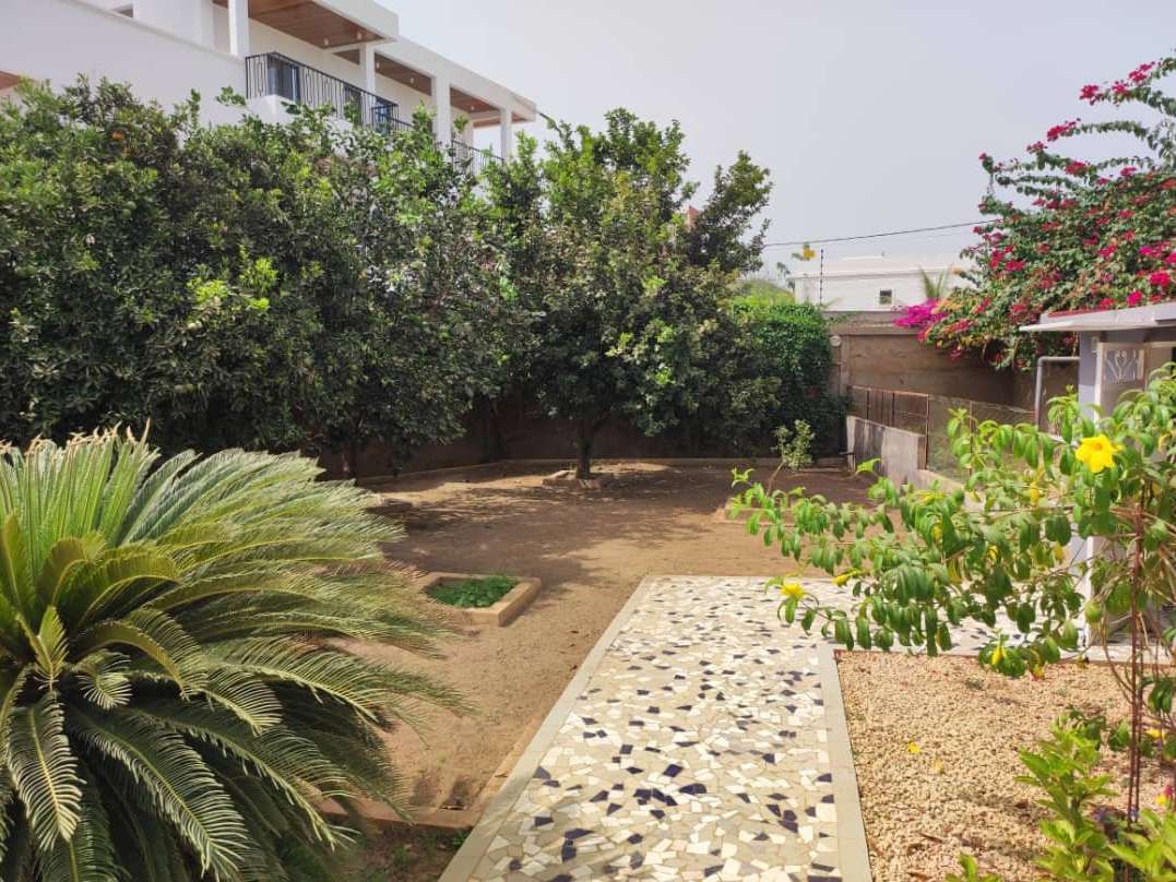 House Senegal