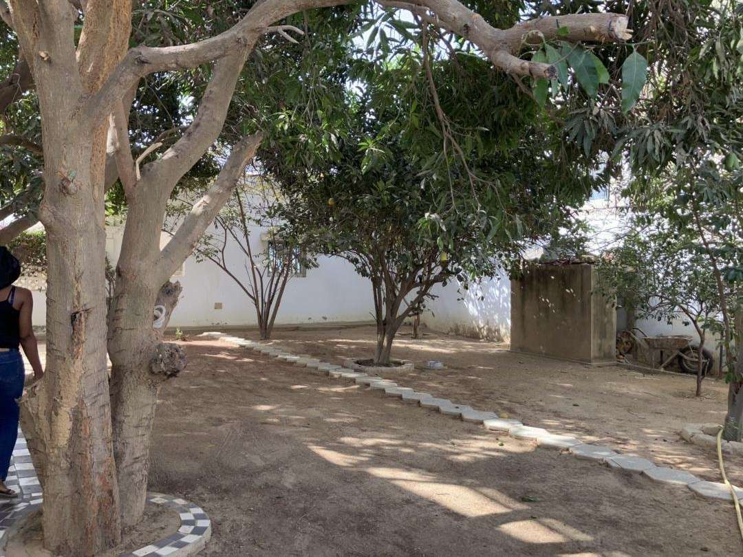 House Senegal