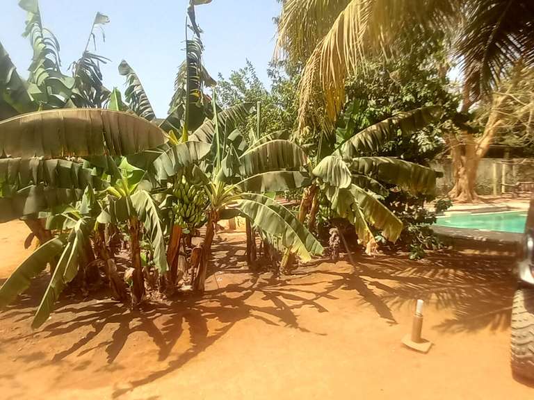 Villa Senegal - 3 chambres - 150m²