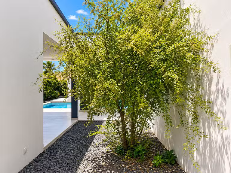 Villa Senegal - 3 bedrooms - 275m²