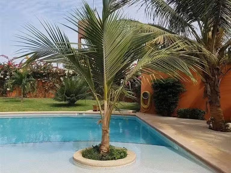 Villa Senegal - 3 bedrooms - 220m²