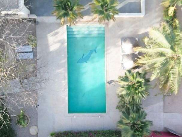 Villa Ngaparou