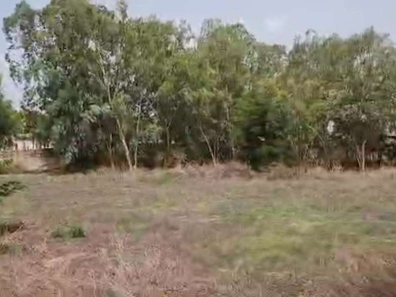 Land Nguérigne